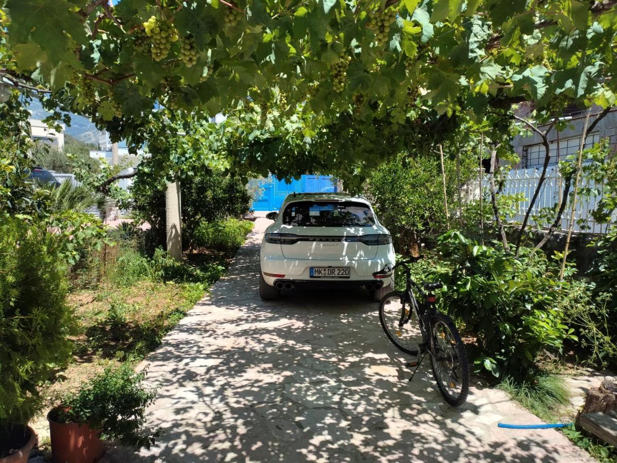 Magic Ionian Apartments & Rooms Himare Esterno foto
